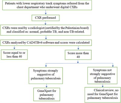 Computer-aided diagnostic accuracy of pulmonary tuberculosis on chest radiography among lower respiratory tract symptoms patients
